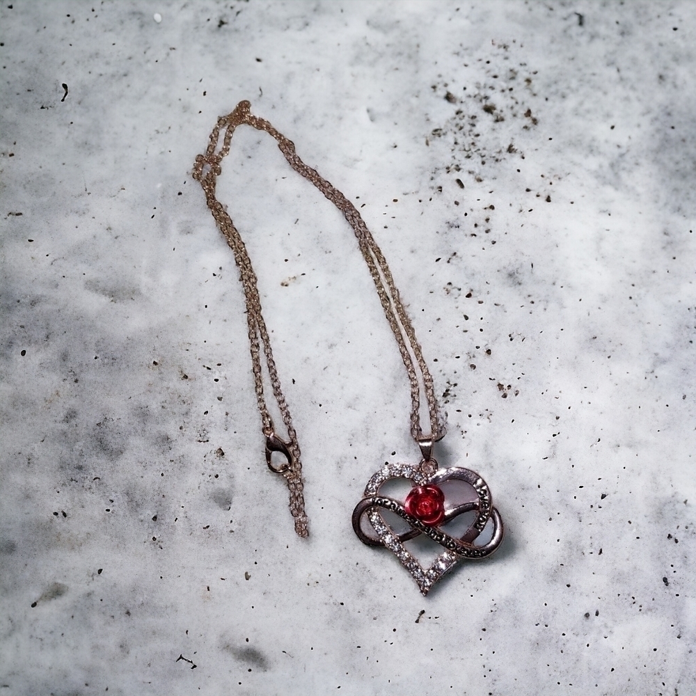 NWOT Heart Mobius Pendant Necklace